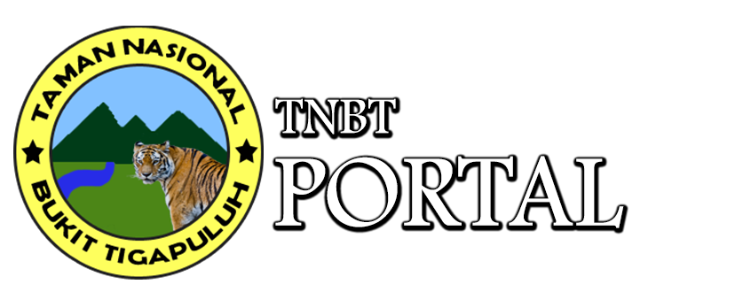 Logo STIEI